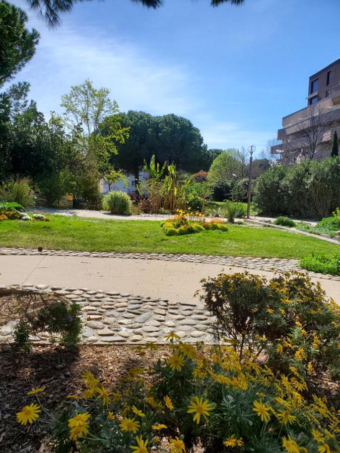 Le Grenier, Climatisation Terrasse Wi-Fi Netflix 15 Mn Coeur De Ville Beziers Bagian luar foto